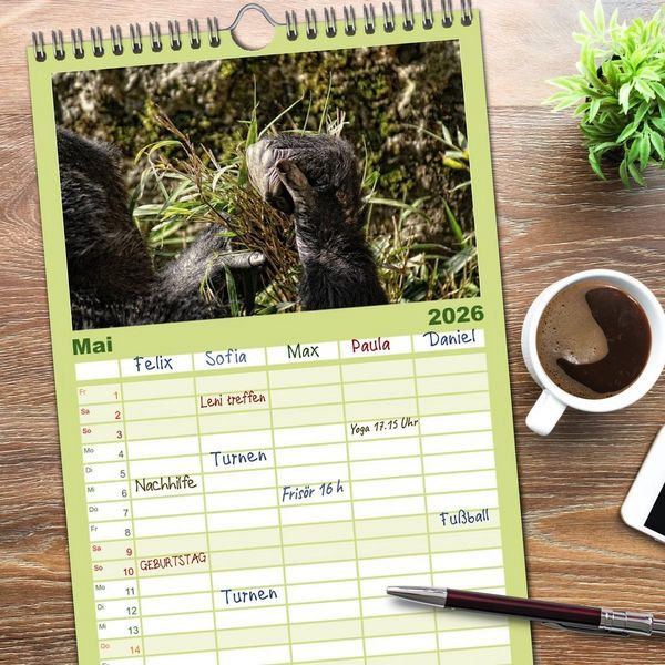 Produktbild: Familienplaner 2026 - Gorillas - Die sanften Wilden mit 5 Spalten (Wandkalender, 21 x 45 cm) CALVENDO