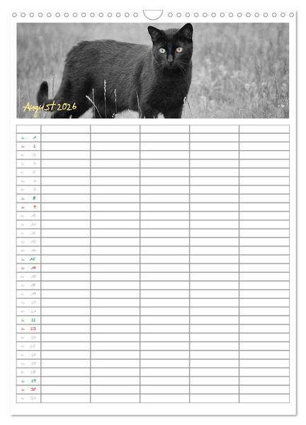 Produktbild: Miezekatzen Planungskalender (Wandkalender 2026 DIN A3 hoch), CALVENDO Monatskalender