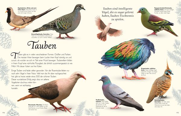 Produktbild: Wundervolle Welt der Vögel