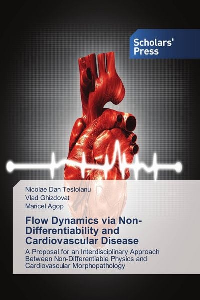 Produktbild: Flow Dynamics via Non-Differentiability and Cardiovascular Disease