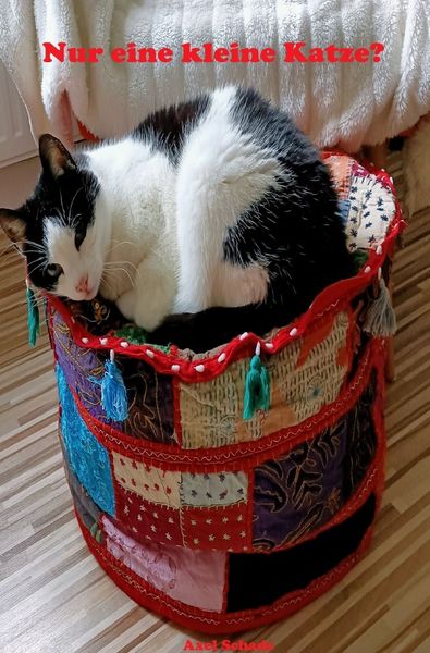 Produktbild: Nur eine kleine Katze?
