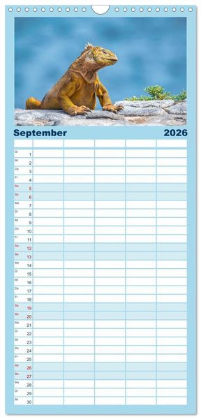 Produktbild: Familienplaner 2026 - Drachen: Geheimnisvolles Tierreich mit 5 Spalten (Wandkalender, 21 x 45 cm) CALVENDO