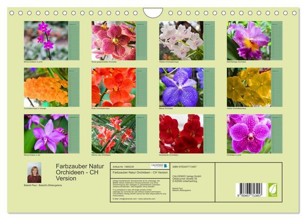 Produktbild: Farbzauber Natur Orchideen - CH Version (Wandkalender 2026 DIN A4 quer), CALVENDO Monatskalender