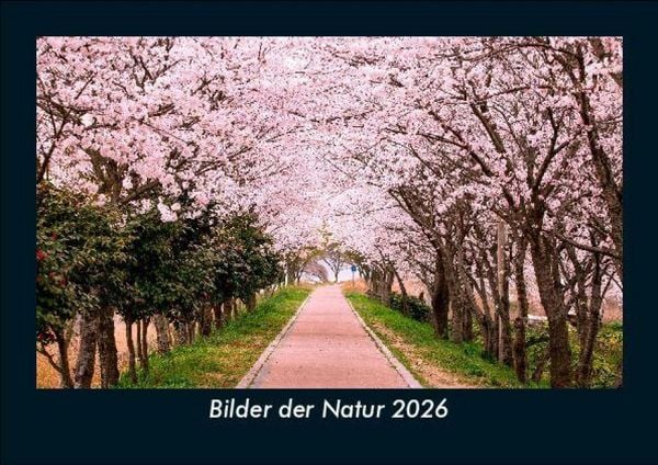 Produktbild: Bilder der Natur 2026 Fotokalender DIN A5