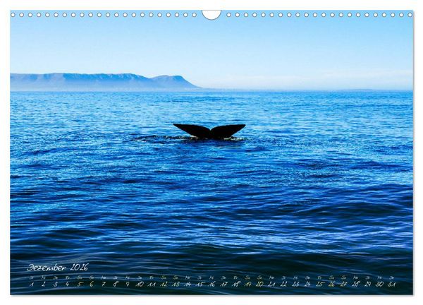 Produktbild: Wasser Welten - Reise um den Globus (Wandkalender 2026 DIN A3 quer), CALVENDO Monatskalender