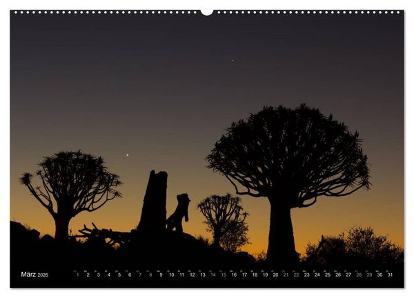 Produktbild: Wildes Namibia (Wandkalender 2026 DIN A2 quer), CALVENDO Monatskalender