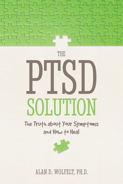 Produktbild: PTSD Solution