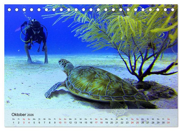 Produktbild: Erlebnis Tauchen - faszinierende Unterwasserwelt (Tischkalender 2026 DIN A5 quer), CALVENDO Monatskalender