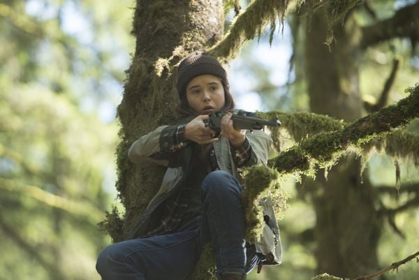 Produktbild: Into the Forest