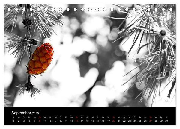 Produktbild: Farbtupfer (Tischkalender 2026 DIN A5 quer), CALVENDO Monatskalender