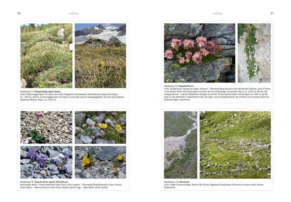 Produktbild: Alpenflora