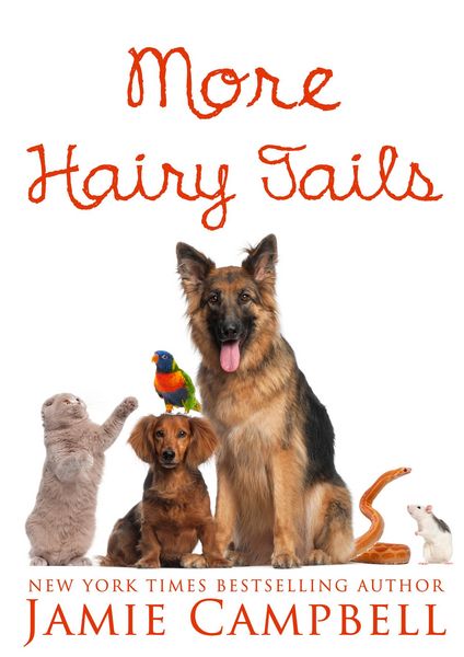 Produktbild: More Hairy Tails
