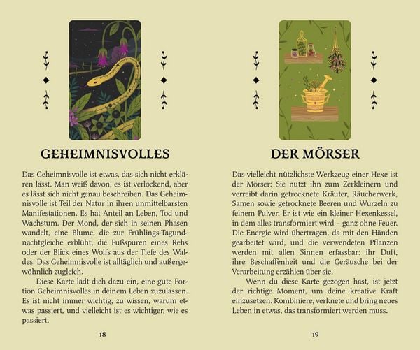 Produktbild: Die gr&uuml;ne Hexe und ihr geheimes Orakel