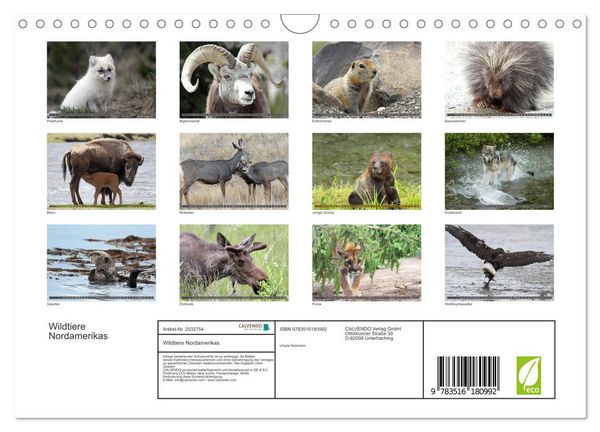 Produktbild: Wildtiere Nordamerikas (Wandkalender 2026 DIN A4 quer), CALVENDO Monatskalender