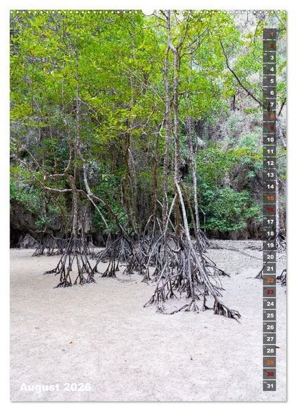 Produktbild: Thailand - Perle Asiens (hochwertiger Premium Wandkalender 2026 DIN A2 hoch), Kunstdruck in Hochglanz