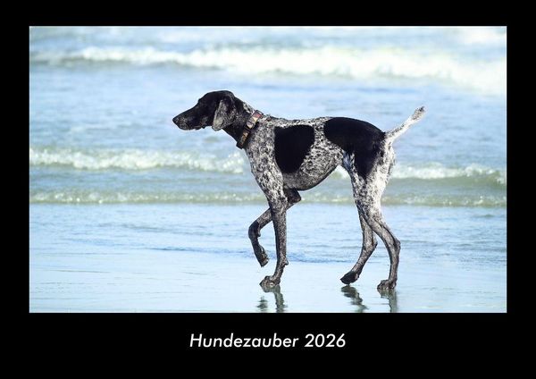 Produktbild: Hundezauber 2026 Fotokalender DIN A3
