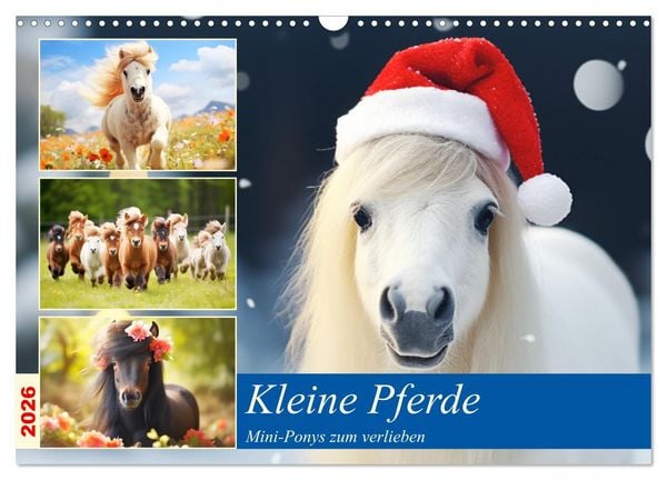 Produktbild: Kleine Pferde. Mini-Ponys zum verlieben (Wandkalender 2026 DIN A3 quer), CALVENDO Monatskalender