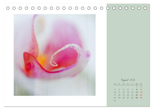 Produktbild: Bl&uuml;tentr&auml;ume (Tischkalender 2026 DIN A5 quer), CALVENDO Monatskalender
