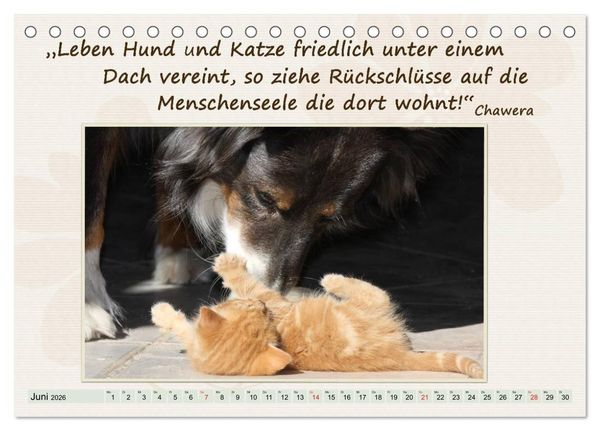 Produktbild: Mit Hundezitaten gut durchs Jahr (Tischkalender 2026 DIN A5 quer), CALVENDO Monatskalender