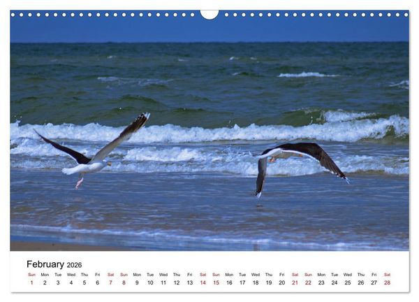 Produktbild: The Sea - A place for dreams (Wall Calendar 2026 DIN A3 landscape), CALVENDO 12 Month Wall Calendar