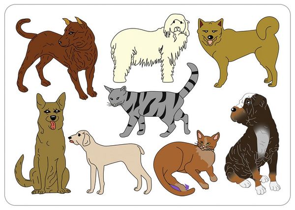 Produktbild: Mal-Schablonen-Set 1 ("Tiere")