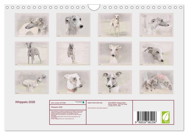 Produktbild: Whippets 2026 (Wall Calendar 2026 DIN A4 landscape), CALVENDO 12 Month Wall Calendar
