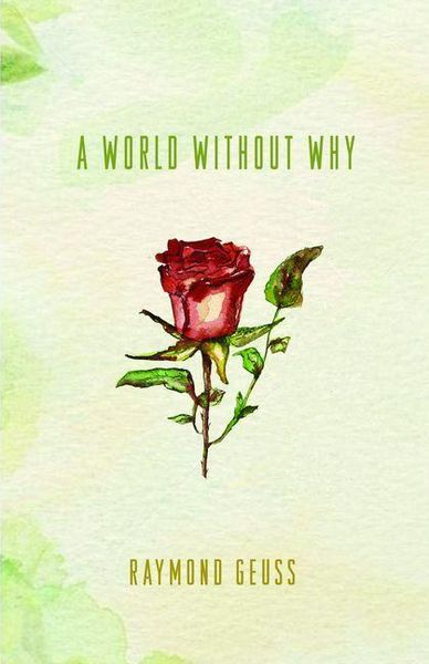 Produktbild: World without Why