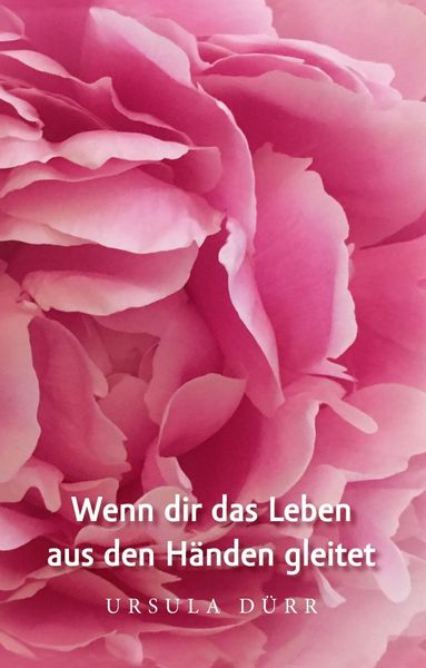 Produktbild: Wenn dir das Leben aus den H&auml;nden gleitet