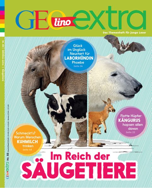 Produktbild: GEOlino Extra / GEOlino extra 85/2020 - Im Reich der S&auml;ugetiere