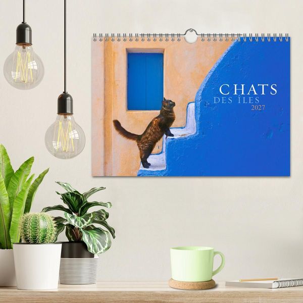 Produktbild: Chats des &icirc;les (Calendrier mural 2027 DIN A4 vertical), CALVENDO calendrier mensuel