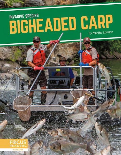 Produktbild: Bigheaded Carp