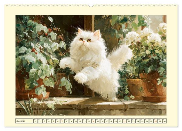 Produktbild: Perserkatzen. Flauschige Momente in kunstvoller &Ouml;loptik (hochwertiger Premium Wandkalender 2026 DIN A2 quer), Kunstdruck in Hochglanz