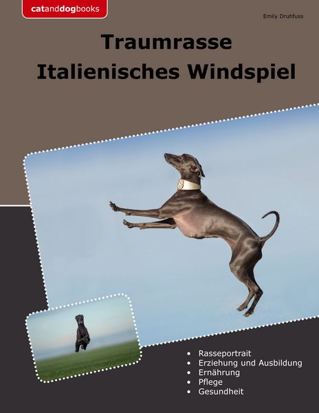 Produktbild: Traumrasse Italienisches Windspiel