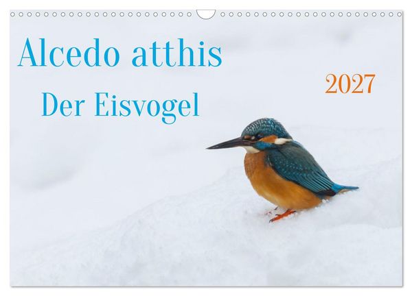 Produktbild: Alcedo atthis. Der Eisvogel (Wandkalender 2027 DIN A3 quer), CALVENDO Monatskalender