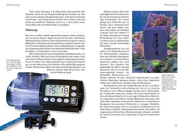 Produktbild: Zwergkaiserfische im Meerwasseraquarium