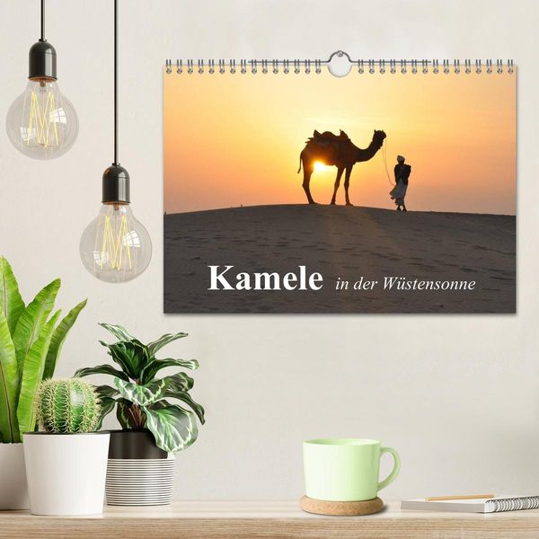 Produktbild: Kamele in der W&uuml;stensonne (Wandkalender 2026 DIN A4 quer), CALVENDO Monatskalender