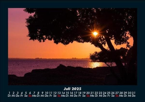 Produktbild: B&auml;ume 2025 Fotokalender DIN A5