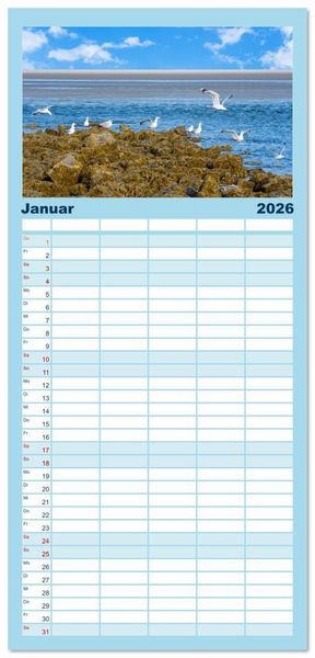 Produktbild: Familienplaner 2026 - Buntes und bl&uuml;hendes Borkum mit 5 Spalten (Wandkalender, 21 x 45 cm) CALVENDO