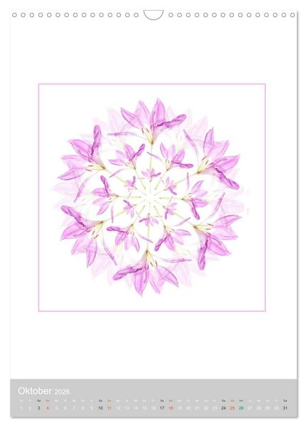 Produktbild: Pflanzen - Mandalas aus Bl&uuml;ten und Bl&auml;ttern (Wandkalender 2026 DIN A3 hoch), CALVENDO Monatskalender