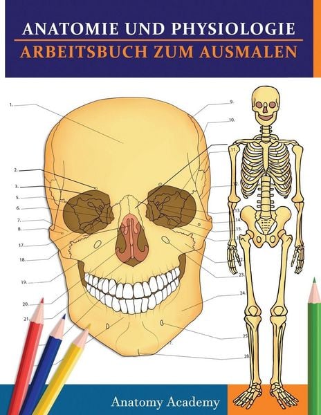 Produktbild: Anatomie und Physiologie Arbeitsbuch zum Ausmalen