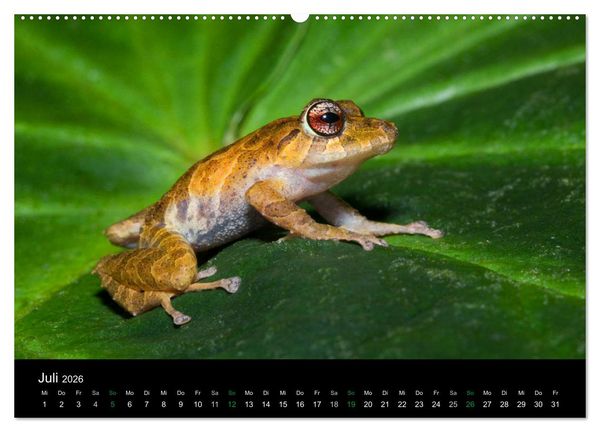 Produktbild: Costa Rica - Faszination Fr&ouml;sche (hochwertiger Premium Wandkalender 2026 DIN A2 quer), Kunstdruck in Hochglanz