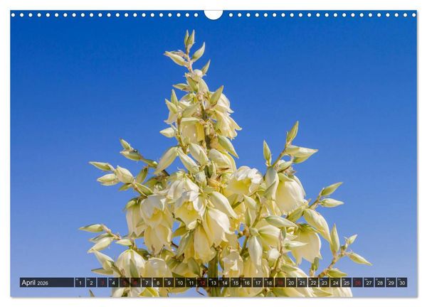 Produktbild: WHITE SANDS Die wei&szlig;e W&uuml;ste in New Mexico (Wandkalender 2026 DIN A3 quer), CALVENDO Monatskalender