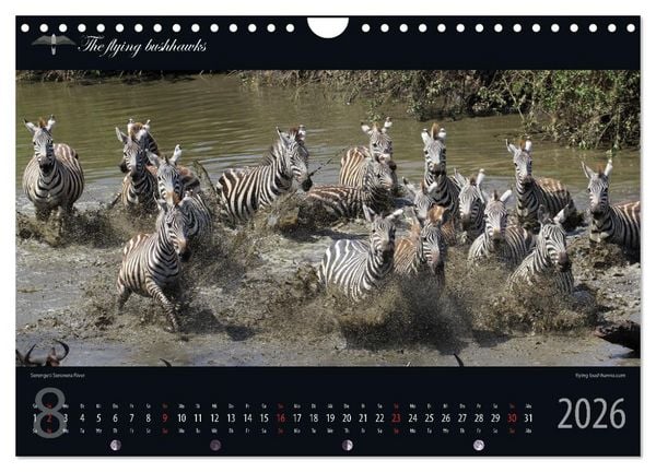 Produktbild: Tansania Blickwinkel 2026 (Wandkalender 2026 DIN A4 quer), CALVENDO Monatskalender