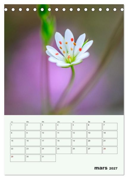 Produktbild: Fleurs en toute simplicit&eacute; - Beaut&eacute; minimaliste (Calendrier de bureau 2027 DIN A5 horizontal), CALVENDO calendrier mensuel