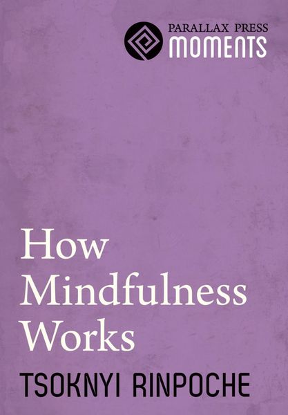 Produktbild: How Mindfulness Works