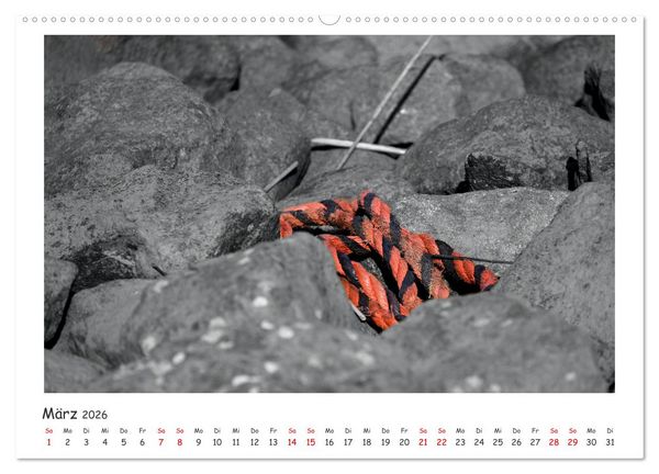 Produktbild: Gestrandet -Treibgut- (hochwertiger Premium Wandkalender 2026 DIN A2 quer), Kunstdruck in Hochglanz