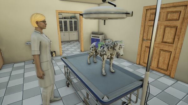 Animal Doctor (Code-in-a-Box)