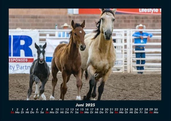 Produktbild: Die Welt der Pferde 2025 Fotokalender DIN A4