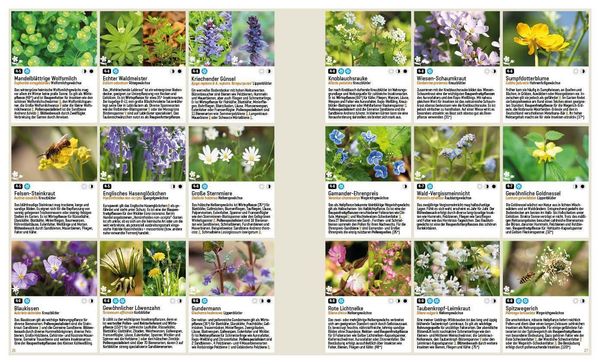 Produktbild: Mein Artenretter Garten