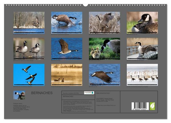 Produktbild: BERNACHES (Calendrier mural 2026 DIN A2 vertical) calendrier de bureau
